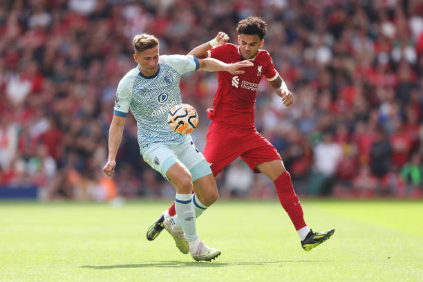 提供了展示 提供了展示