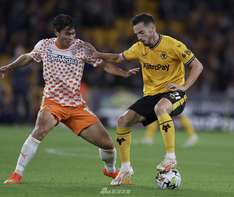 尔西的阵容 尔西的阵容